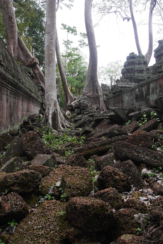 Angkor Wat: Kambodschas antike Tempelstadt