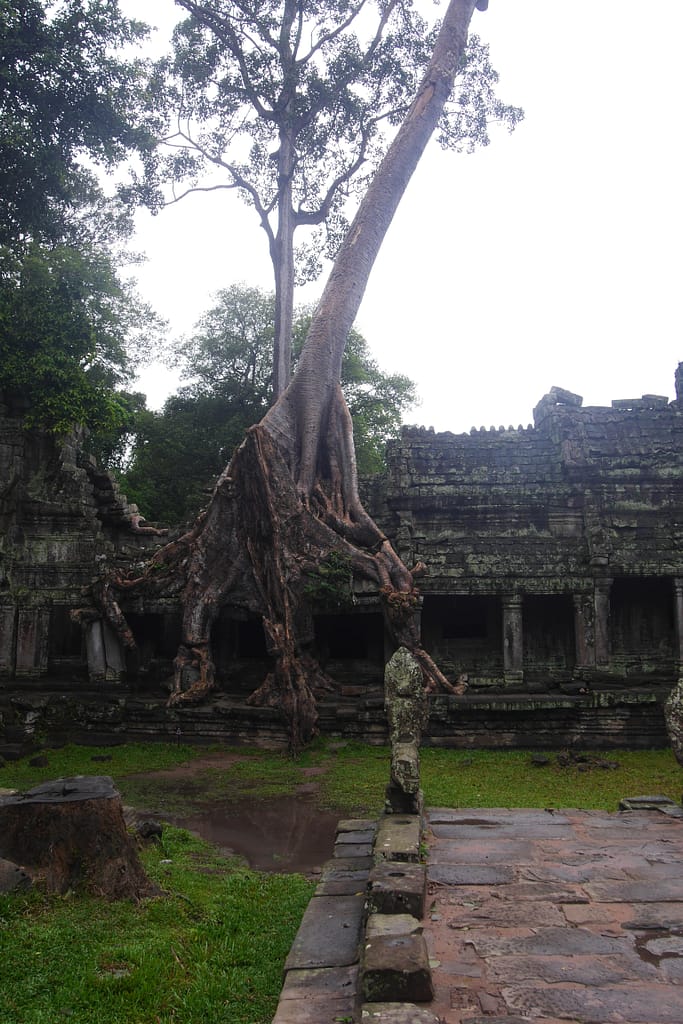 Angkor Wat: Kambodschas antike Tempelstadt