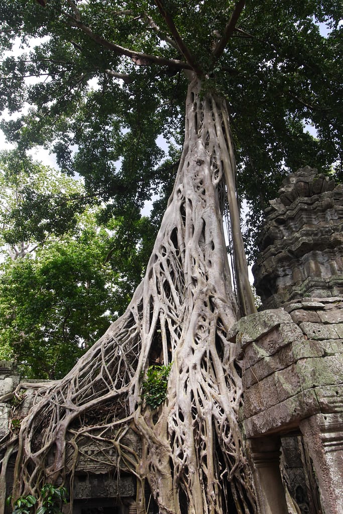 Angkor Wat: Kambodschas antike Tempelstadt
