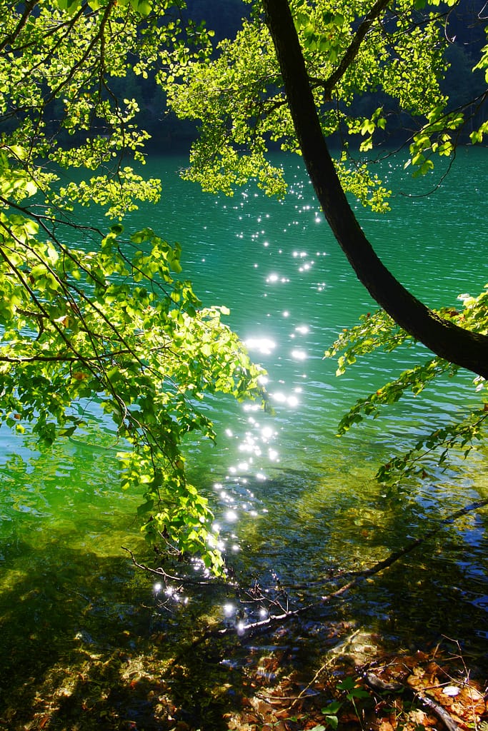 Nationalpark Berchtesgaden