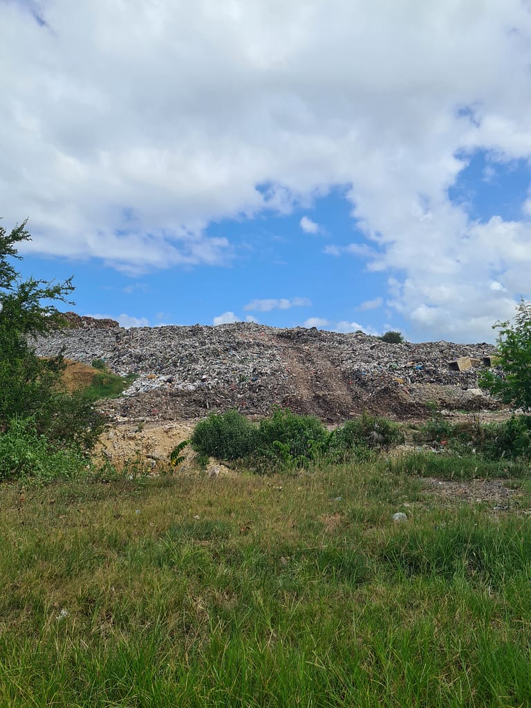 2Müllberg 16. Ziel: Bali - Teil 1