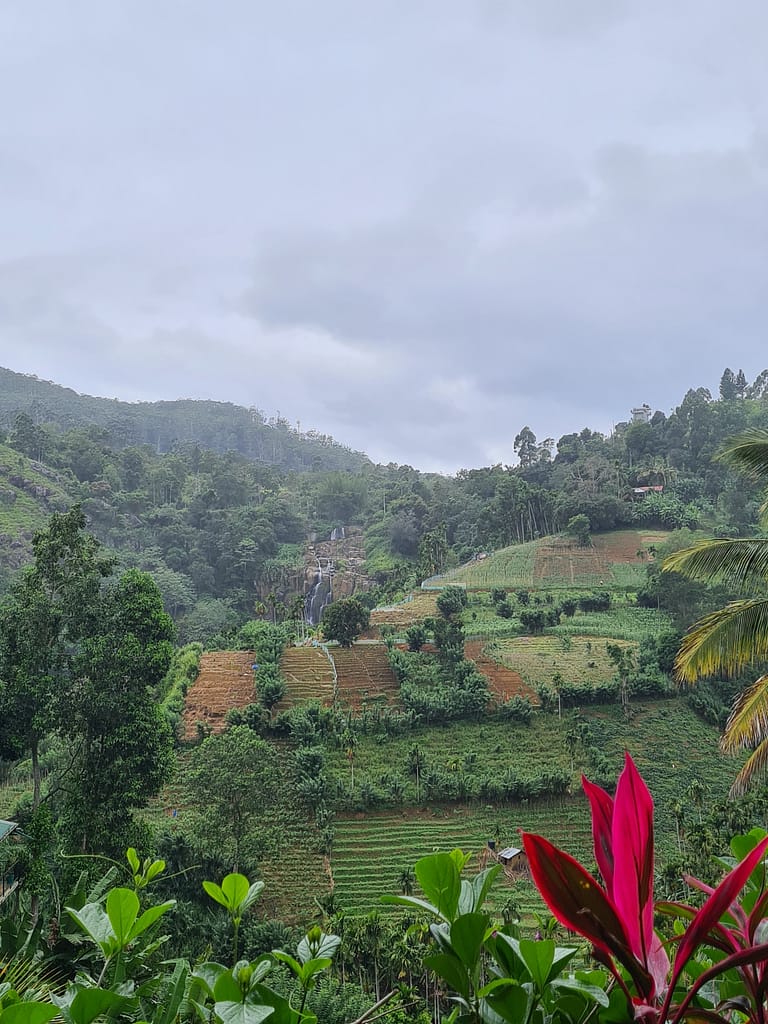 Reisetipps und Erfahrungen: Sri Lanka