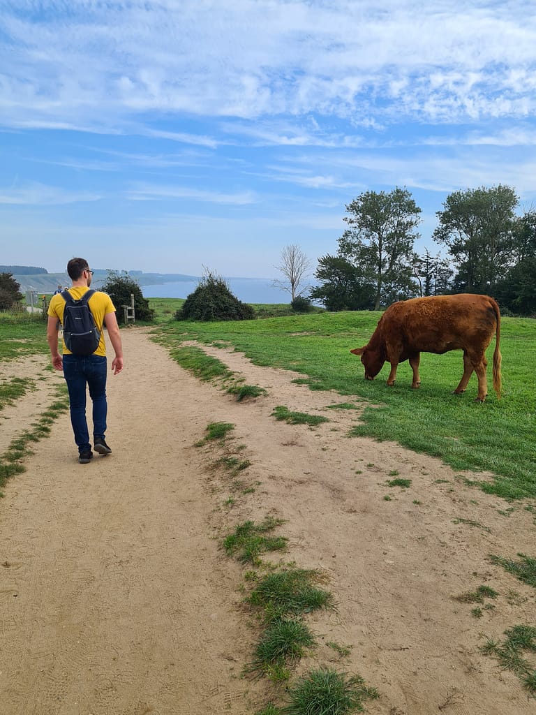 29. Ziel: Kåseberga & Karlskrona