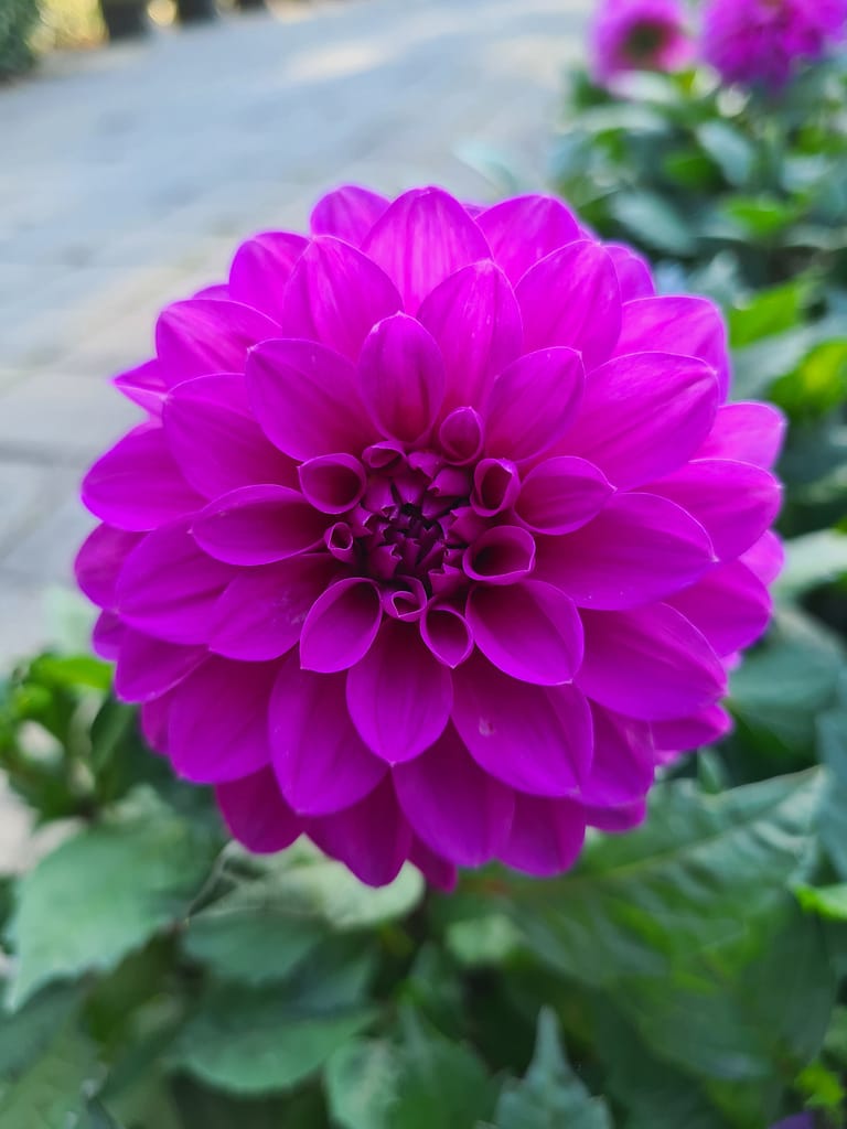 Städtetrip nach Riga