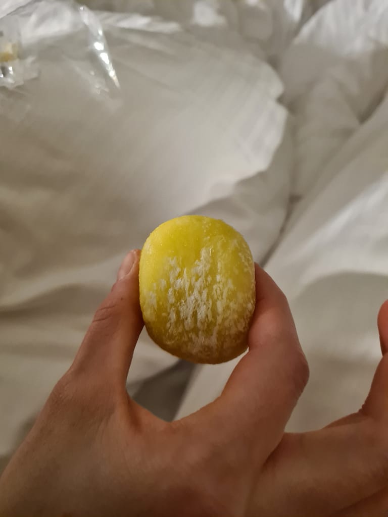 Düsseldorf: Zu Besuch in Little Tokyo!