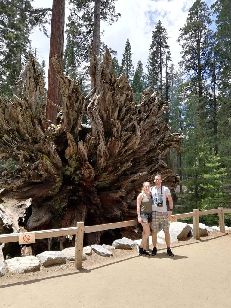 USA Roadtrip - Entlang der Westküste: Teil 2