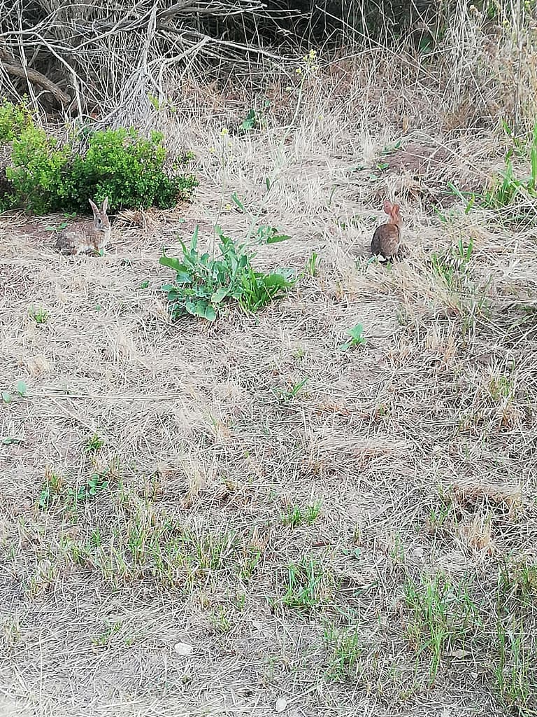 USA Roadtrip: Entlang der Westküste - Teil 4