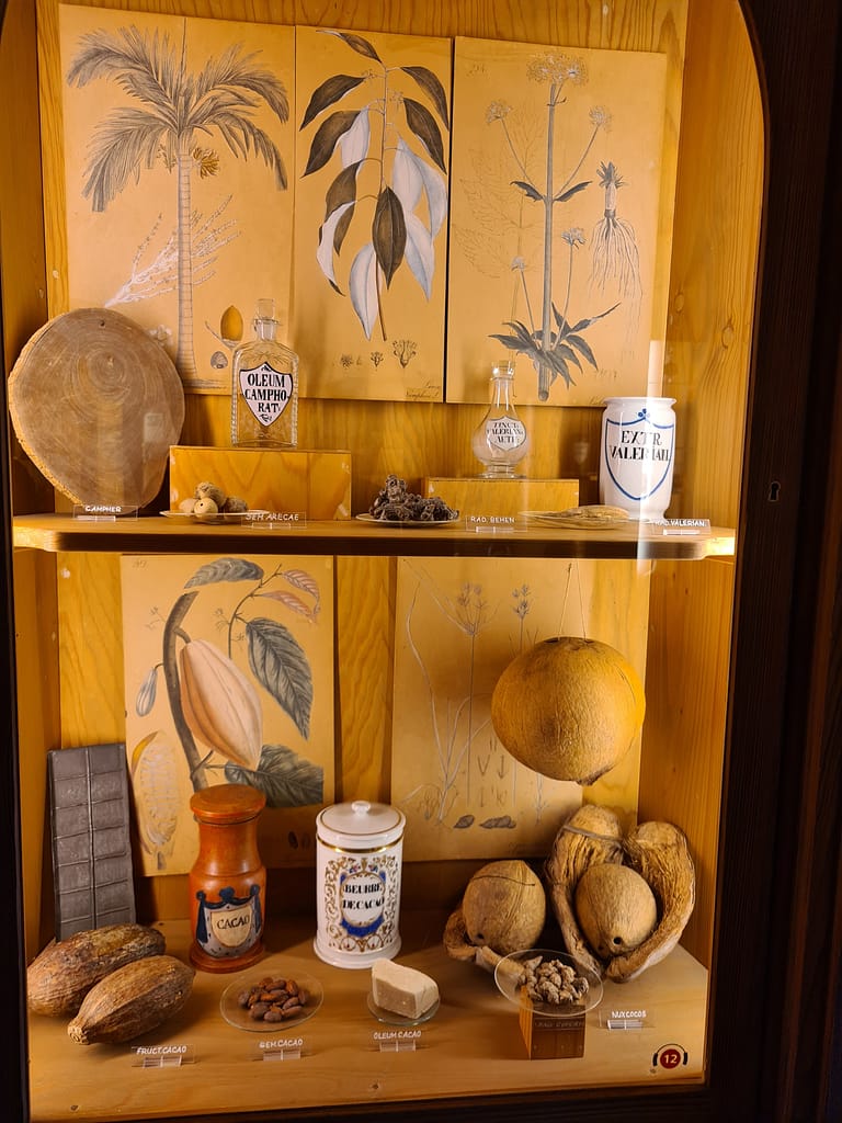 Heidelberg - die vielleicht romantischste Stadt Deutschlands