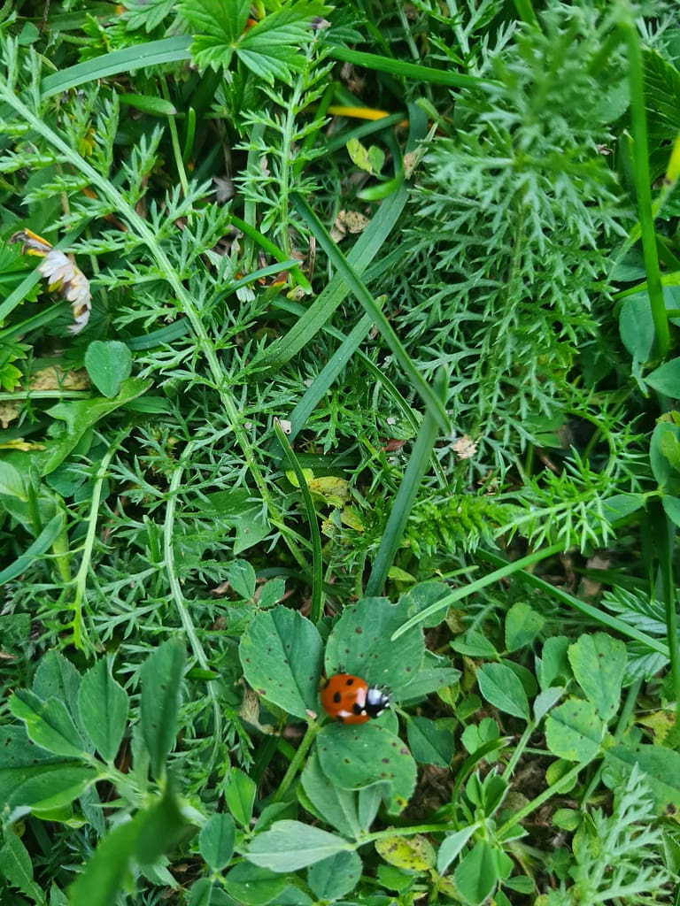 Reisetipps und Erfahrungen: Schweden
