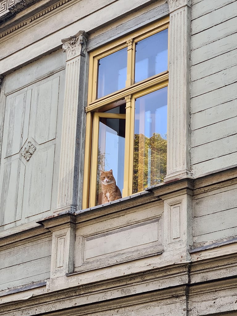 Städtetrip nach Riga