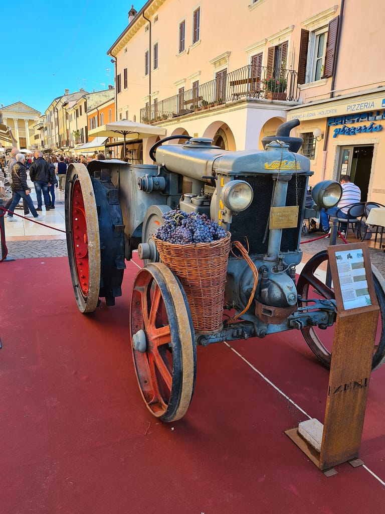 Bardolino und Torri del Benaco – Gardasee Roadtrip: Teil 5