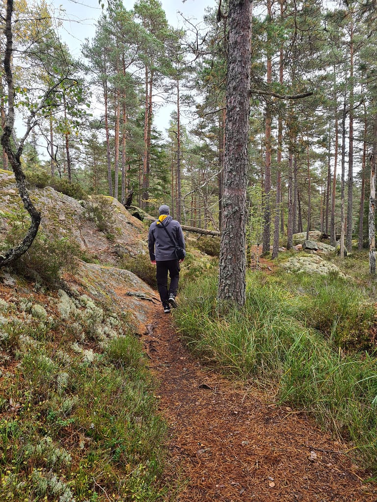 33. Ziel: Tiveden Nationalpark