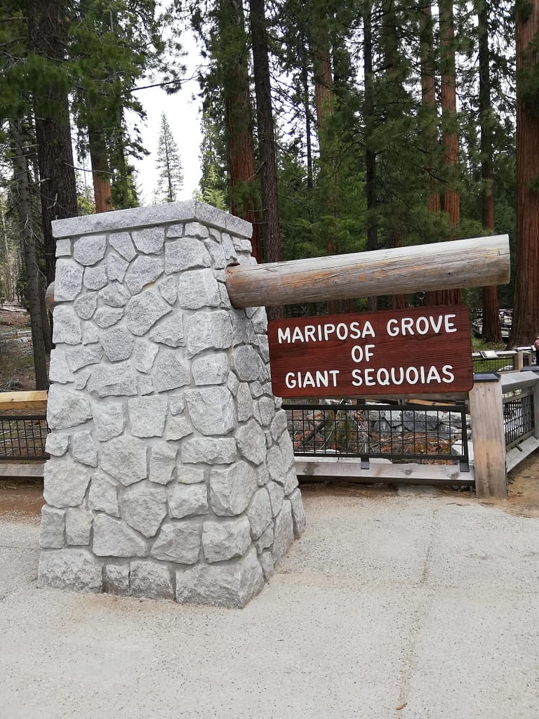 USA Roadtrip - Entlang der Westküste: Teil 2