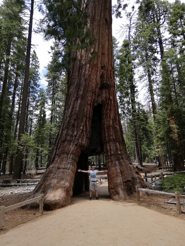 USA Roadtrip - Entlang der Westküste: Teil 2