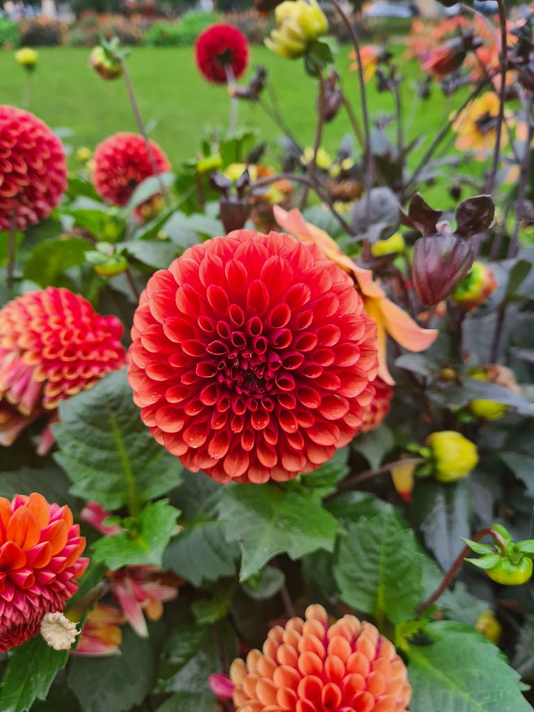 29. Ziel: Kåseberga & Karlskrona