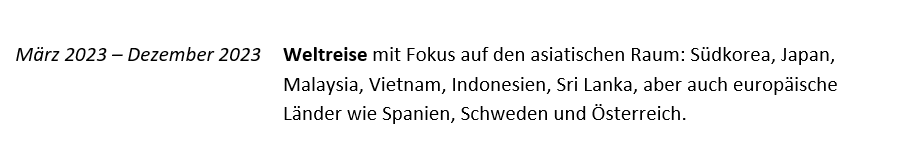 Auslandsaufenthalt im Lebenslauf?