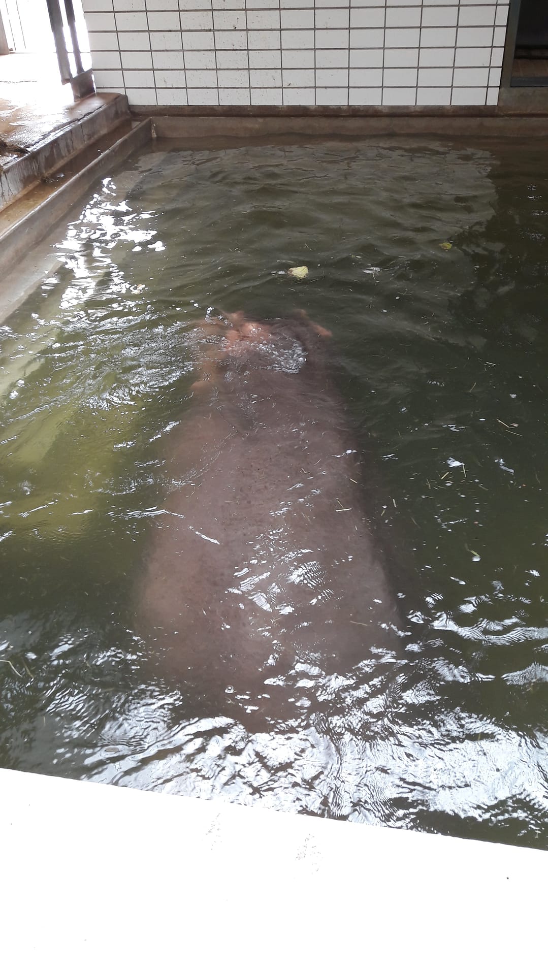 Stuttgart: Ein Ausflug ins Herz des Schwabenlandes