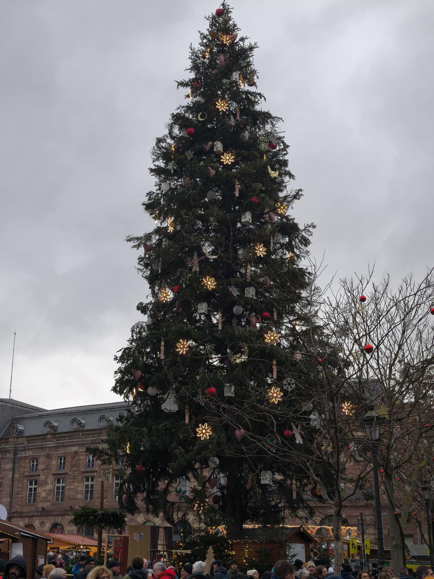Straßburg - die Hauptstadt der Weihnacht