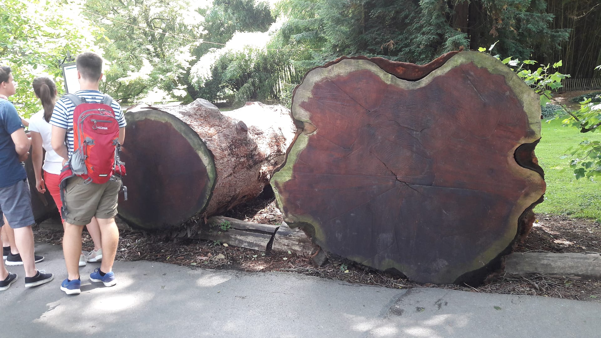 Insel Mainau - Blumenparadies am Bodensee
