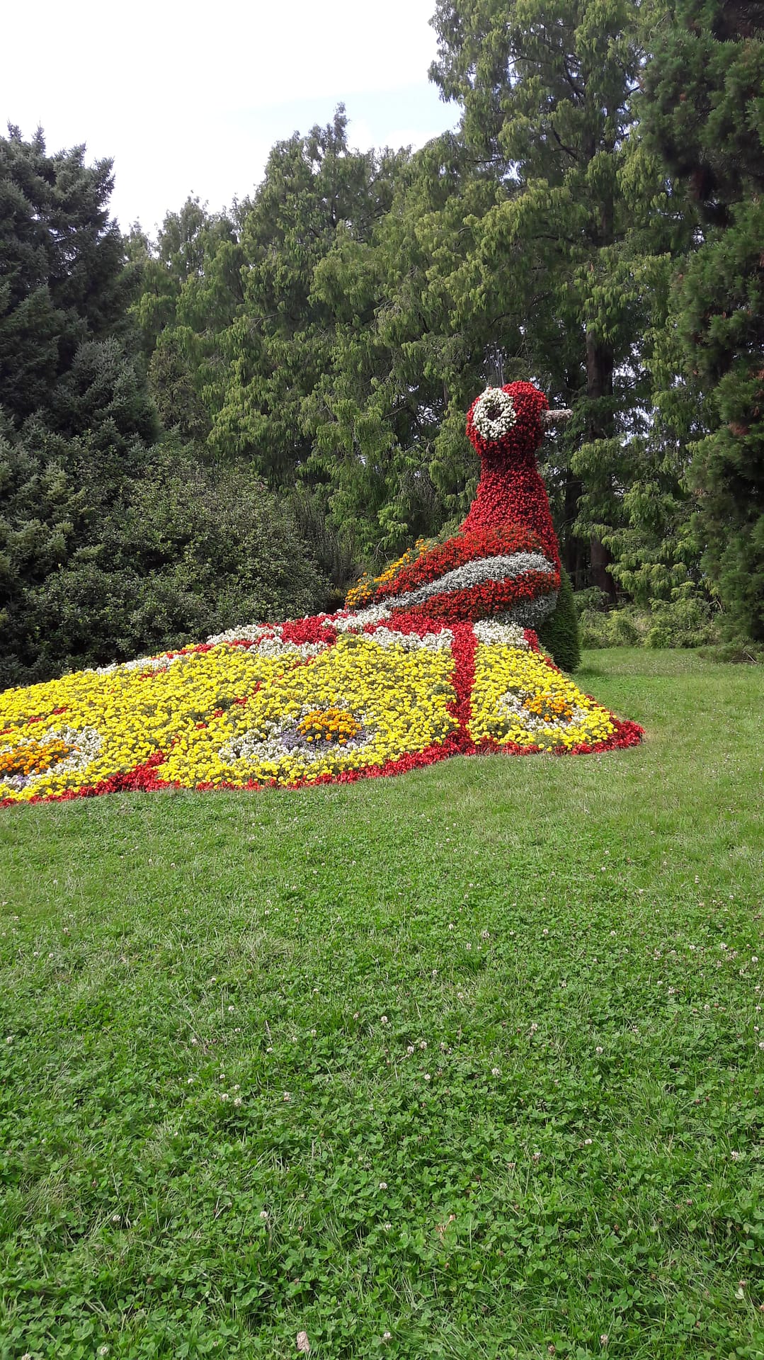 Mainau