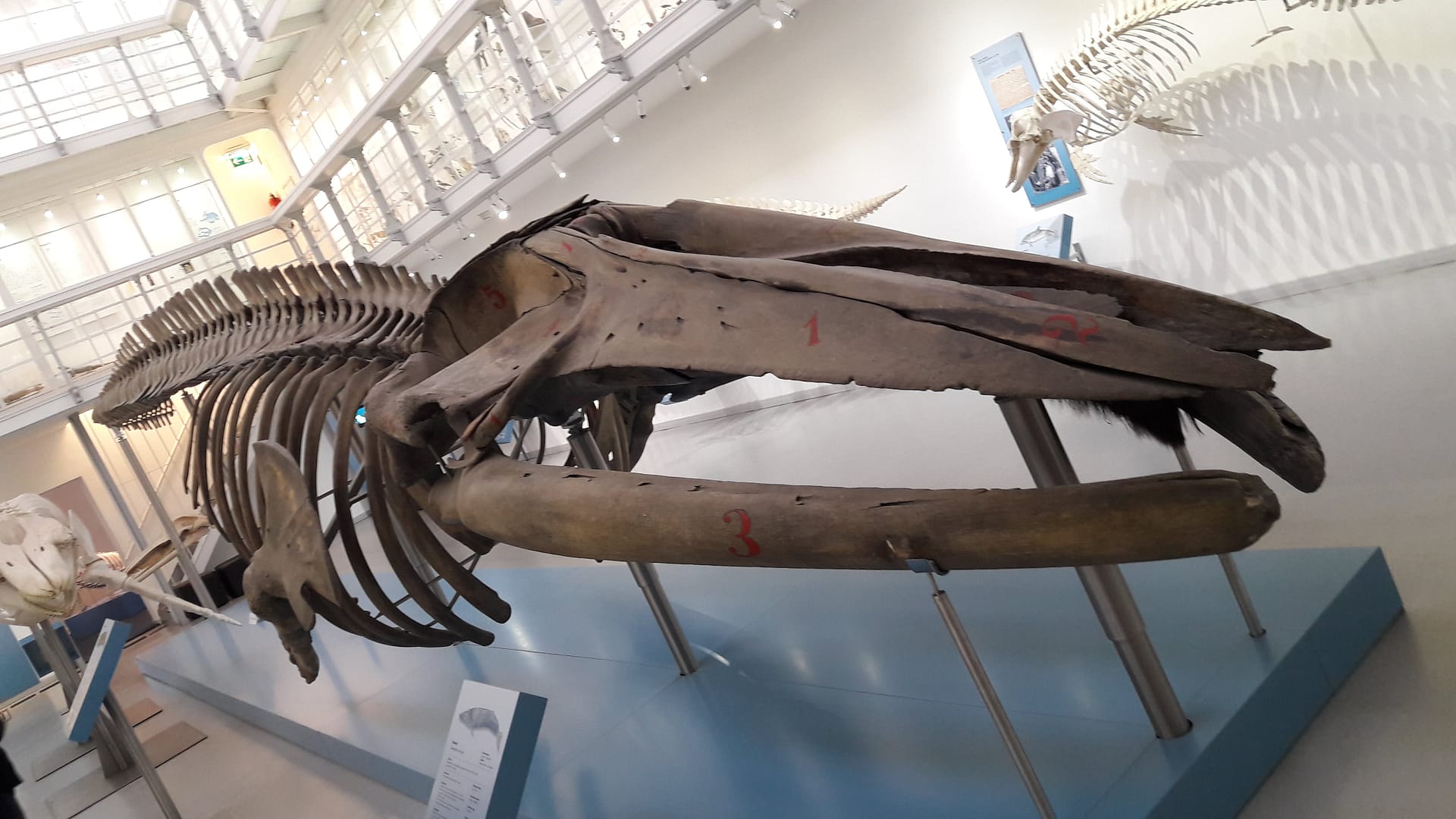 Zwischen Strandkorb und U-Boot: Laboe & Stein entdecken