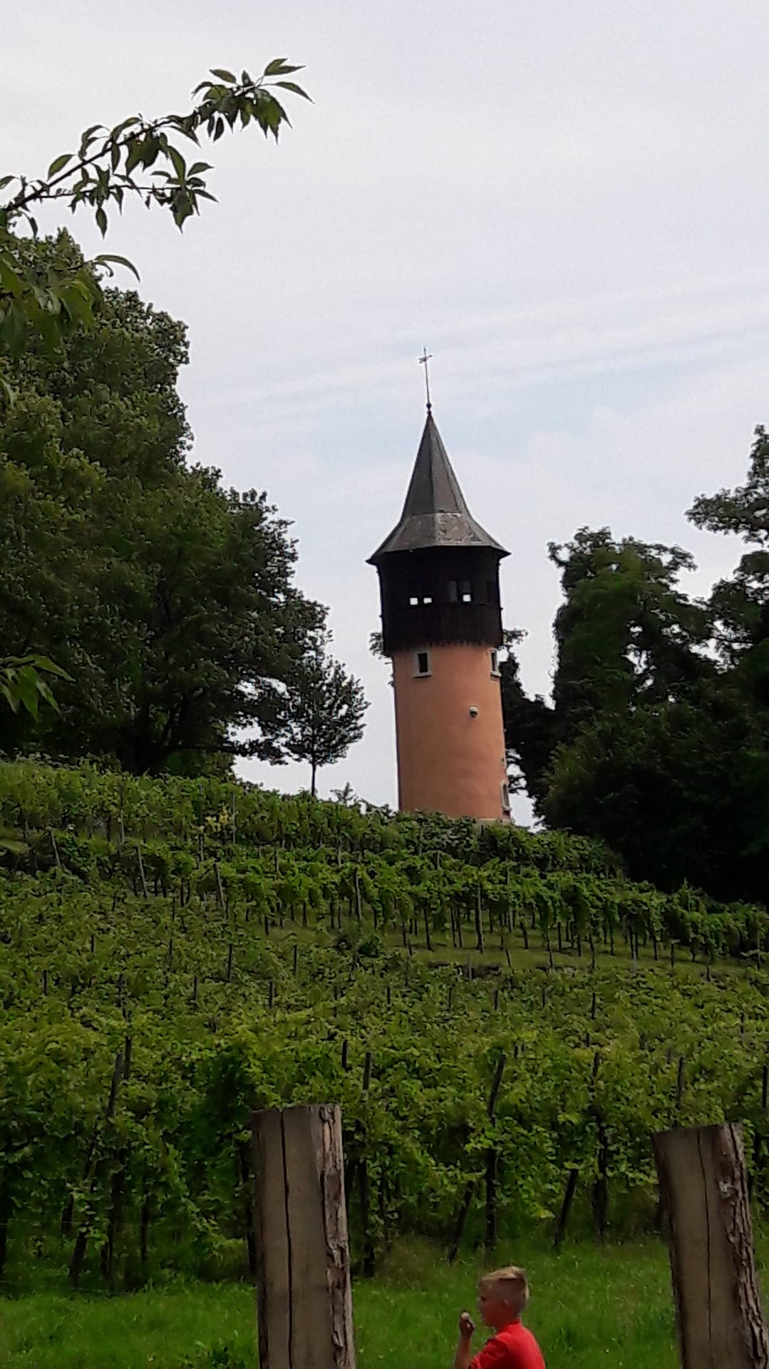 Insel Mainau - Blumenparadies am Bodensee