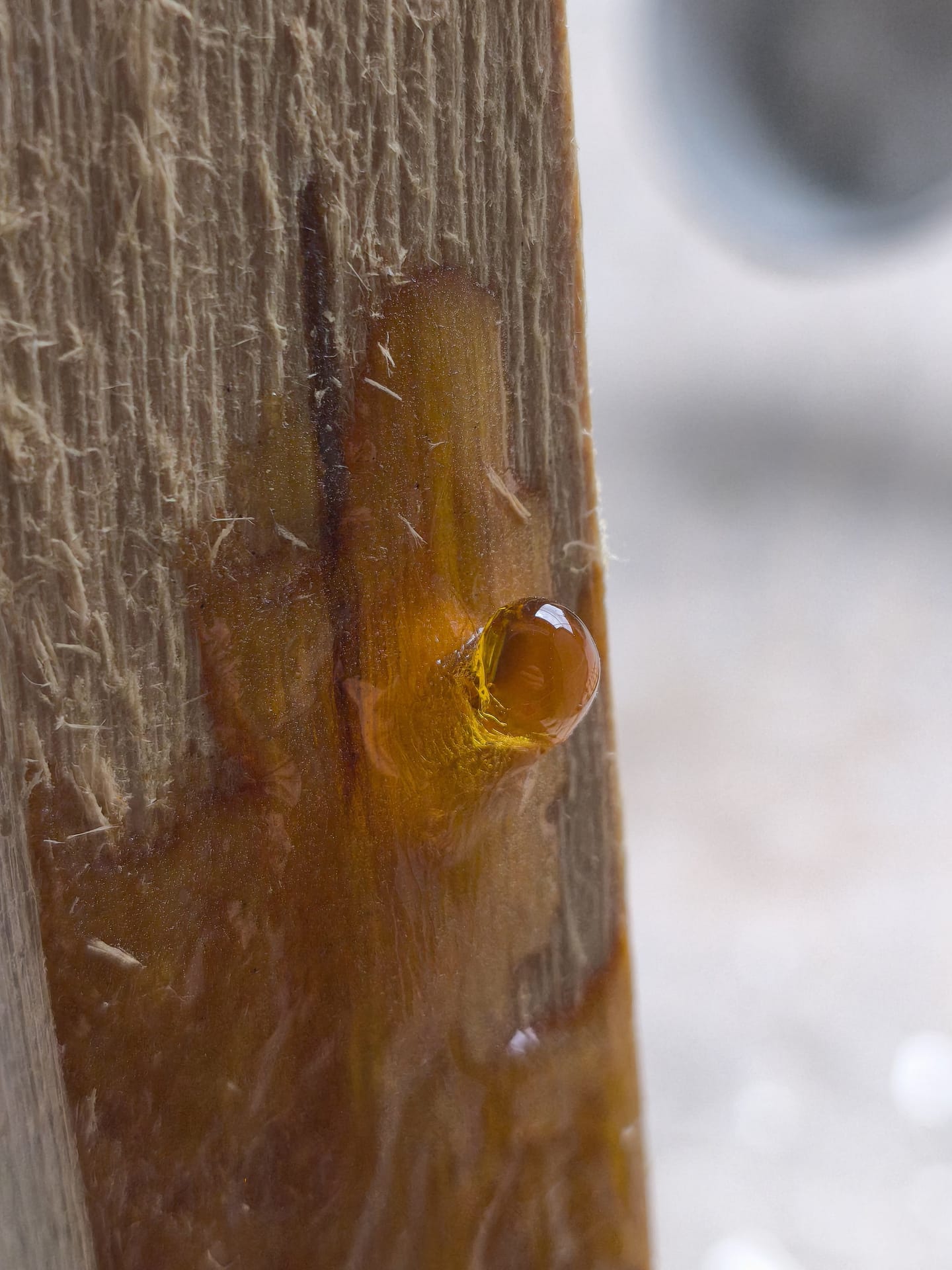 Hausbau: Innenausbau