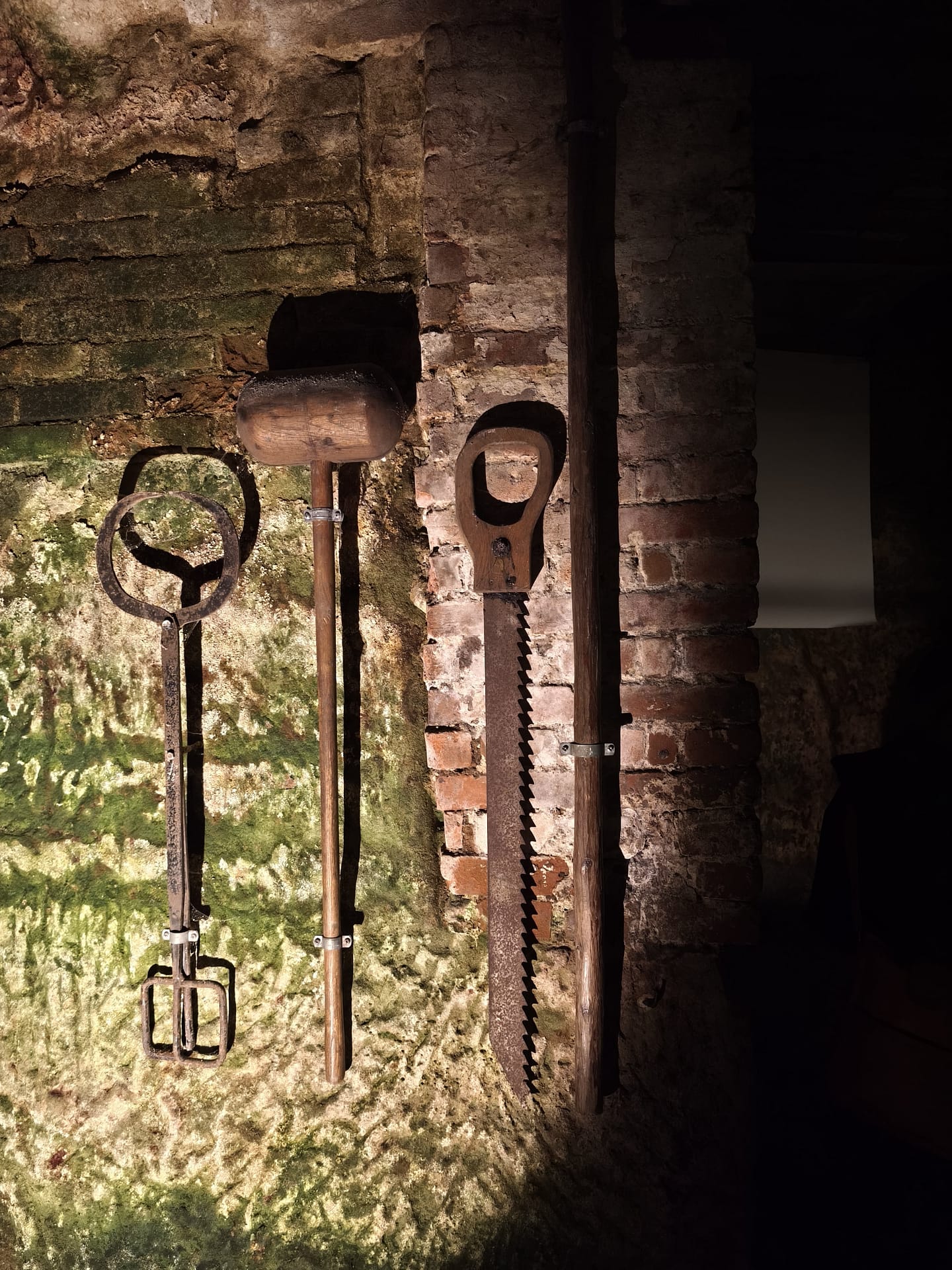 Abstieg ins Unbekannte – Nürnbergs Untergrund ruft!