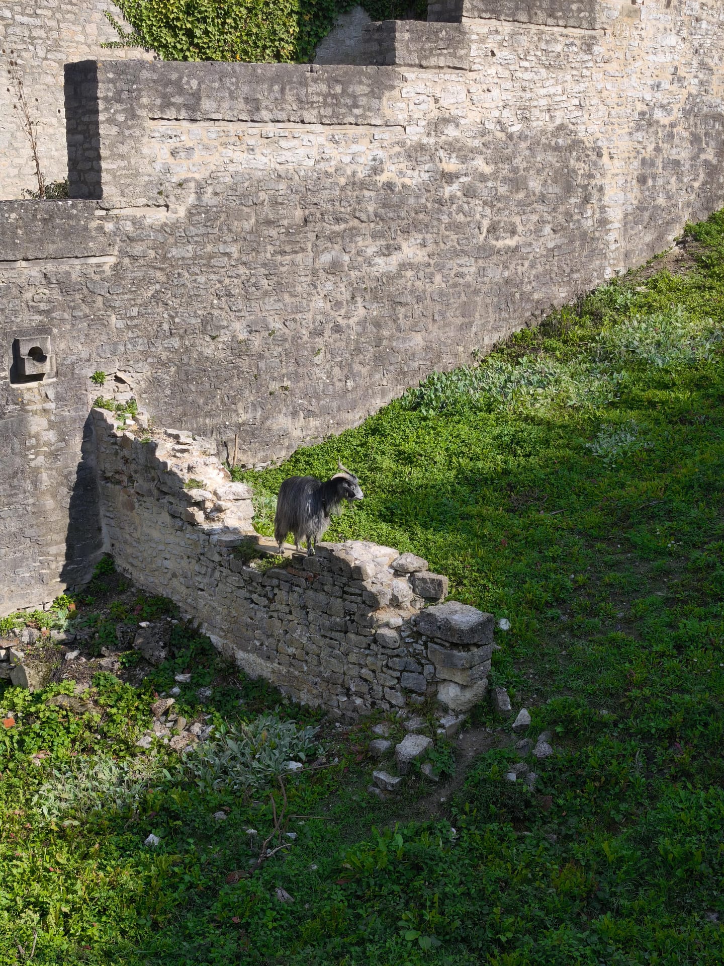 Ein Tag in Schwäbisch Hall